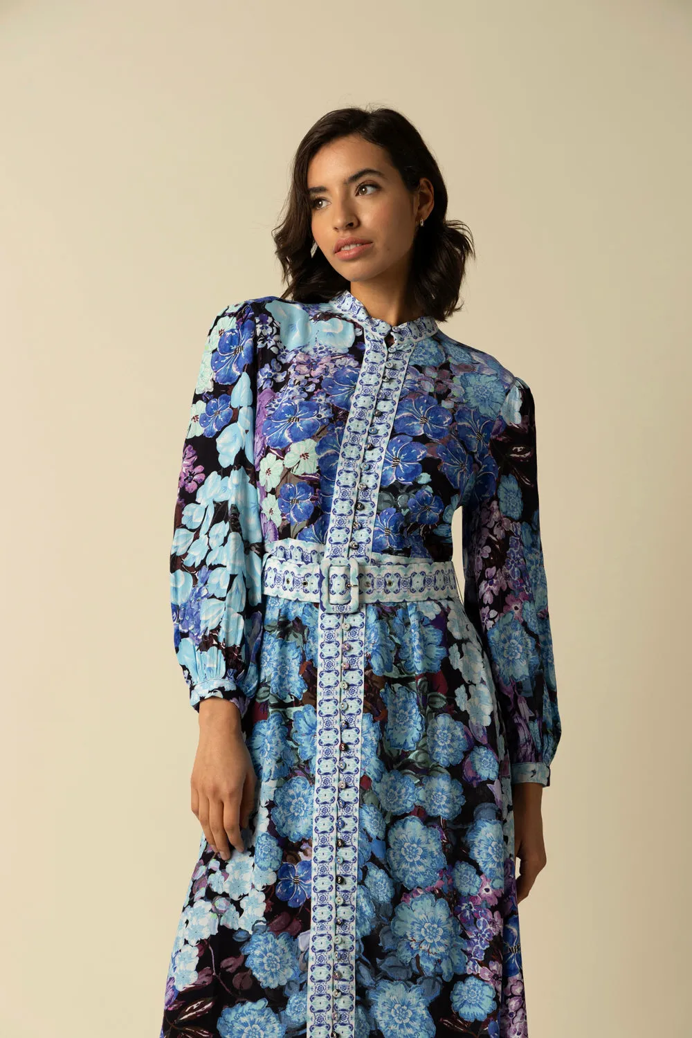 Amara Blue Dress