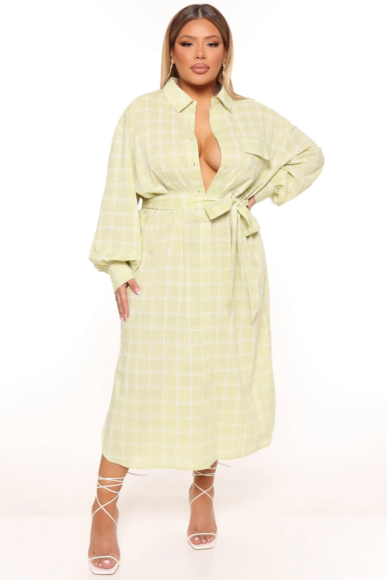 Beach Picnics Shirt Dress - Lime