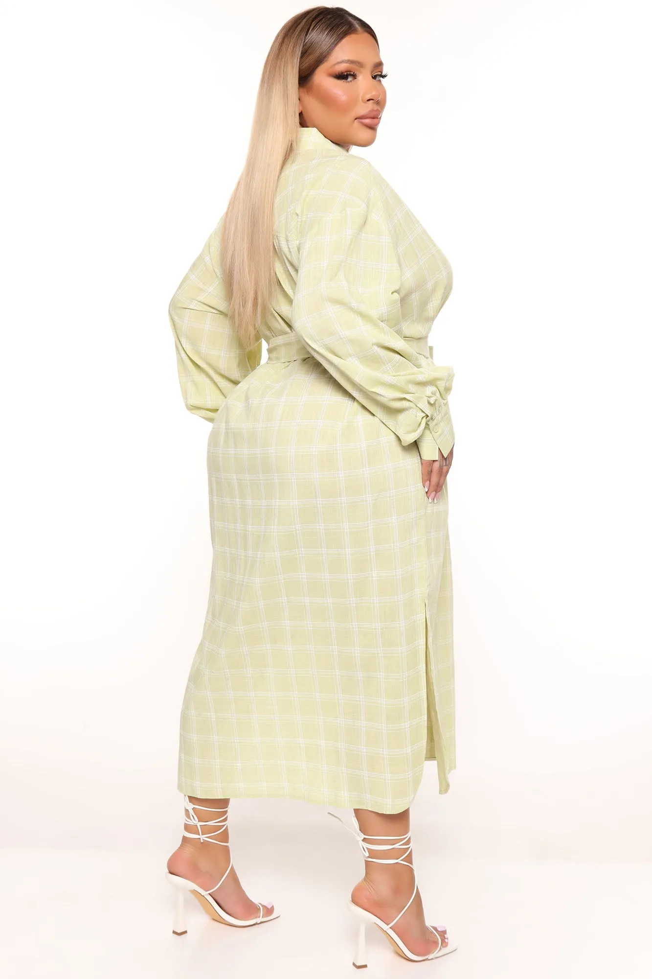 Beach Picnics Shirt Dress - Lime